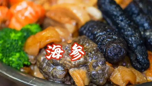 鳄鱼肉和花胶和海参 2026年鳄鱼肉和花胶和海参哪个好