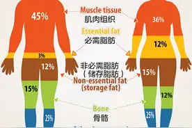 从科学角度解释：为什么男生的腿，普遍比女生细？图片