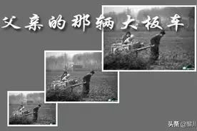 父亲的大板车图片