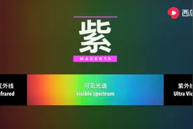 紫色根本不存在！西瓜视频带您了解为什么能看到不存在的紫色图片