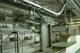 生猪屠宰加工工艺同步卫检设备——青岛建华食品机械制造图片