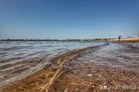 五一赶海，这里有惊喜图片