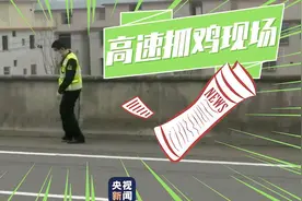 撒欢小鸡高速狂飙 交警半小时悉数“抓捕”图片