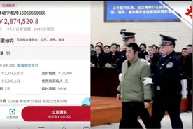 山东一涉黑案资产公开司法拍卖：15066666666手机号287万起拍图片