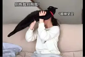 猫咪不喜欢人类抱它，总是会把身体挺的笔直，猫：我最后的倔强图片