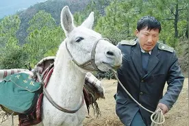“深山信使”王顺友因病去世：一人一马一辈子，山里山外三十年图片