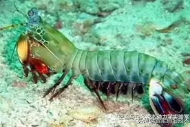 科普｜小泡泡，大威力图片