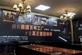 世界十大钢琴排行榜｜为什么买钢琴就要选择斯坦伯格钢琴？图片