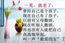 一晃就老了图片