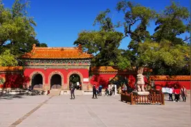 秋末的沈阳东陵公园，菊花依旧盛开，游人依然如织图片