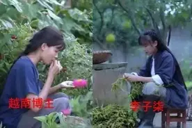 越南博主模仿李子柒引热议，维权之路不易图片