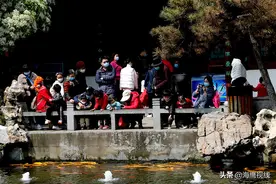 金水河岸藏着一个苏式小院，亭台楼榭流水潺潺，人称郑州最美庭院图片