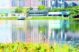 东湖公园： 一方生态净土 一座成都公共艺术地标图片