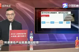 超300亿元的大案，细节浮出水面图片