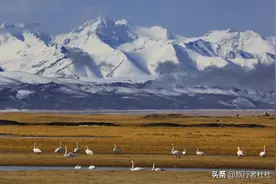 这里有中国最壮阔的风景，这里是生命的禁区-中国四大无人区图片
