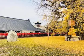 2021年西安古观音禅寺赏红叶攻略图片