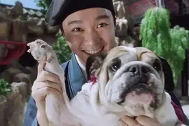 狗狗想念主人，会有这5种行为，真的让人心疼！图片