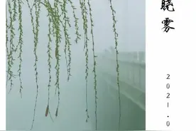 山西武乡：栽下梧桐树，引得凤凰来图片
