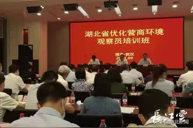 湖北首次！205位优化营商环境观察员来了图片