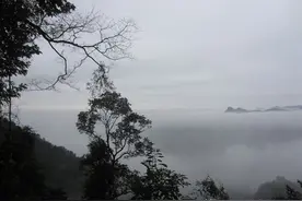 云深不知处图片