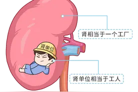 人体切除一个肾有什么影响？还能活，但这些影响会伴随你一生图片
