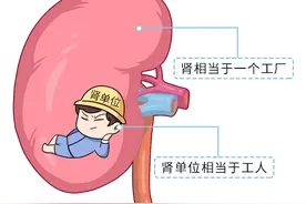 人体切除一个肾有什么影响？还能活，但这些影响会伴随你一生图片