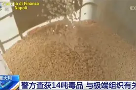 数量惊人！意大利警方查获14吨毒品 共约8400万片图片
