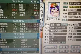 大话西游2玩家晒出忽视混40的站街属性 这个是平民男人极限吗图片