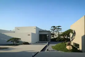 山海关｜富力金禧——松 · 因美而生图片