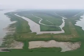 洞庭湖近三万亩“私家湖泊”？涉事62名公职人员被免职问责视频封面