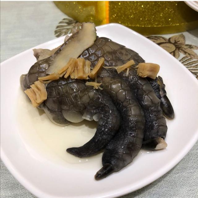 花胶可以和鳄鱼肉干一起煲汤吗 2026年花胶可以和鳄鱼肉干一起煲汤吗