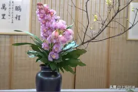 【新年插花】感受新年的年味儿，让福气花香满园图片