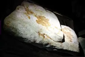 缅商要价18万最终15万成交，几刀下去货主瞬间话都不敢说了！图片