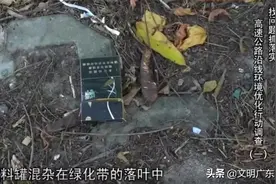 高速标志牌被遮挡、垃圾散落、护栏贴满小广告……这些地方的问题被曝光！图片