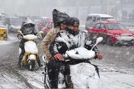 雪灾下的动物百态：辽宁超640万头畜禽死亡，野生动物何去何从？图片