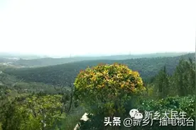 通往新乡“后花园”的这条大道开通了图片