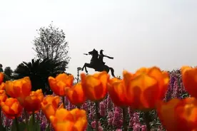 【文旅三河】清明哪里耍？来三河看花海！图片