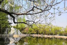 素颜之花，一树梨花压海棠图片
