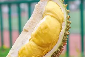 变废为宝的榴莲壳煲出来的鸡汤图片