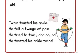 英语原版阅读：自然拼读故事 The Twins图片