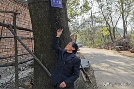 7旬老人门前1棵大树夏天冒烟，她说有神灵，是真的吗图片