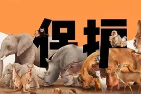 《政策来了》野生动植物保护特别版：野生动物是否以后都不能养殖了？图片