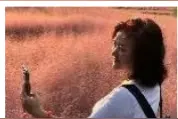 诗配画: 美女与粉黛图片