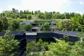 一起来看看新加坡的住房模式图片
