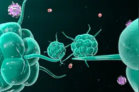 整个人“发霉”而死！可怕疾病蔓延印度，致死率远超“新冠”图片
