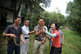 陈事回忆（5）：黄坑老蛇园再现玩蛇表演图片