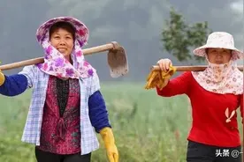 俗语“青头萝卜独头蒜，抬头女人低头汉”，啥意思？有道理吗？图片