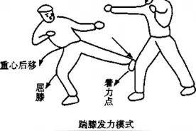 武术腿法的技击特点，武术腿法高手都有哪些必备要素？图片