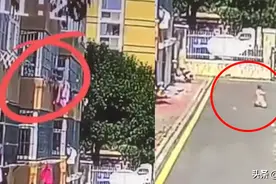 视频 | 女子故意向楼下小孩扔花盆？家长：她探头看了很久，孩子才2岁……图片