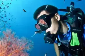 刁曼岛 不能错过世界排名前十的浮潜胜地!阳光~海滩~五彩海底世界图片